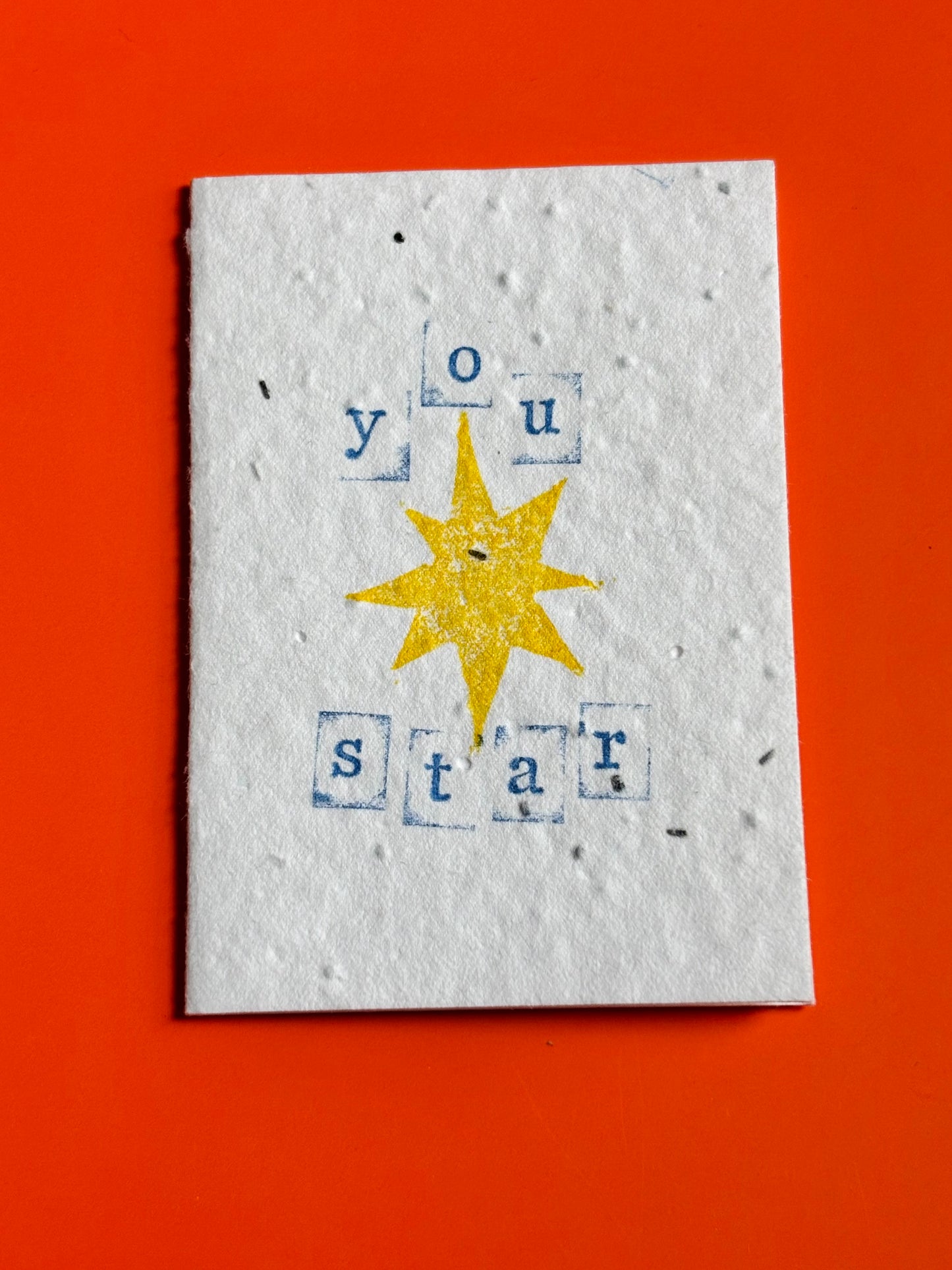 You Shine - Plantable Wildflower Seed Card